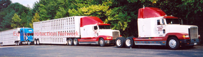 Three Hills Rodeo DOuble Deck trailers