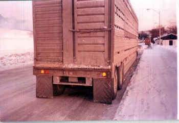 Rear view of double deck cattle trailer with horses on at Schroon Lake, NY rest area